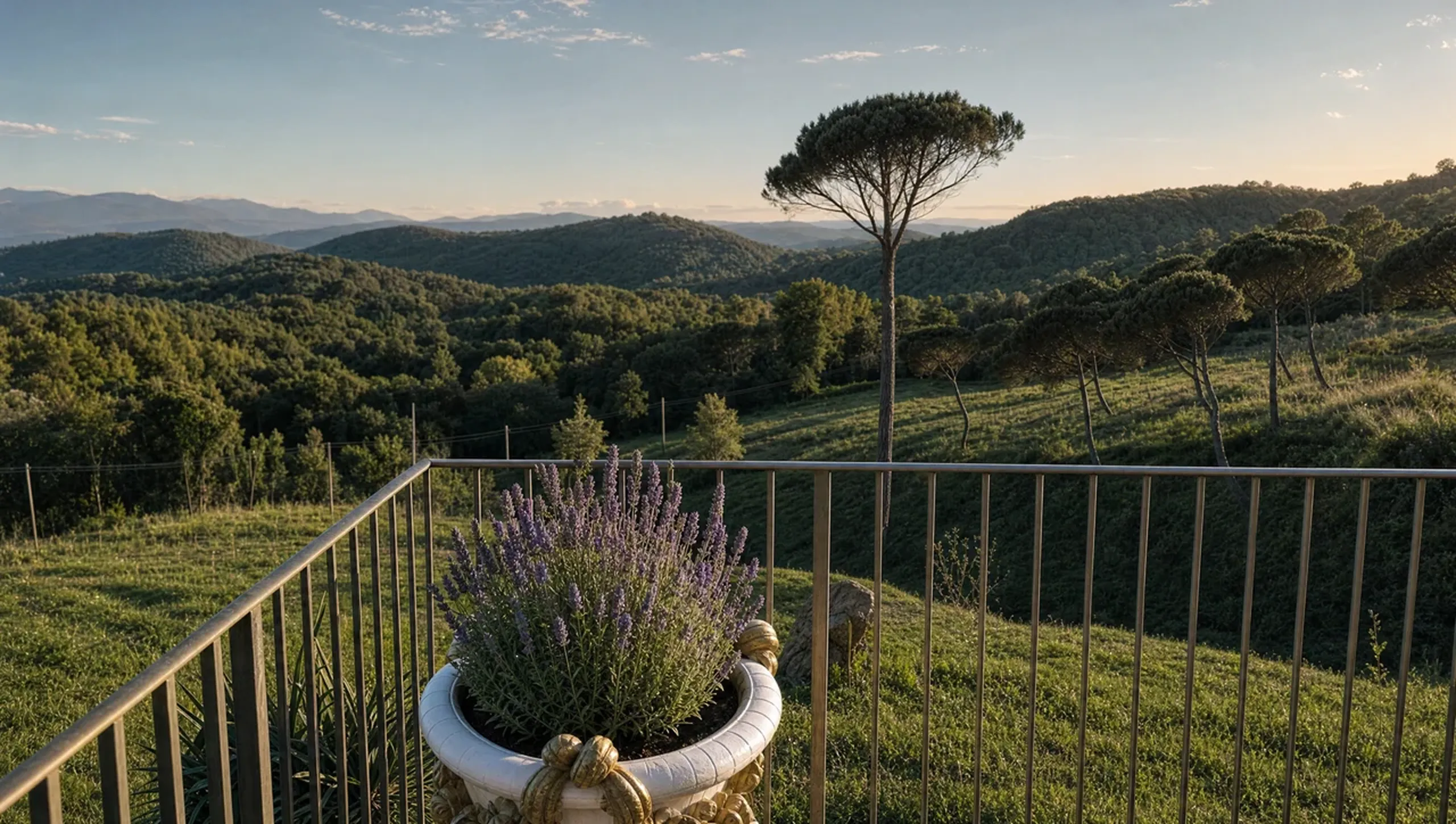 Lavender on the terrace rail, the valley and a lone pine beyond