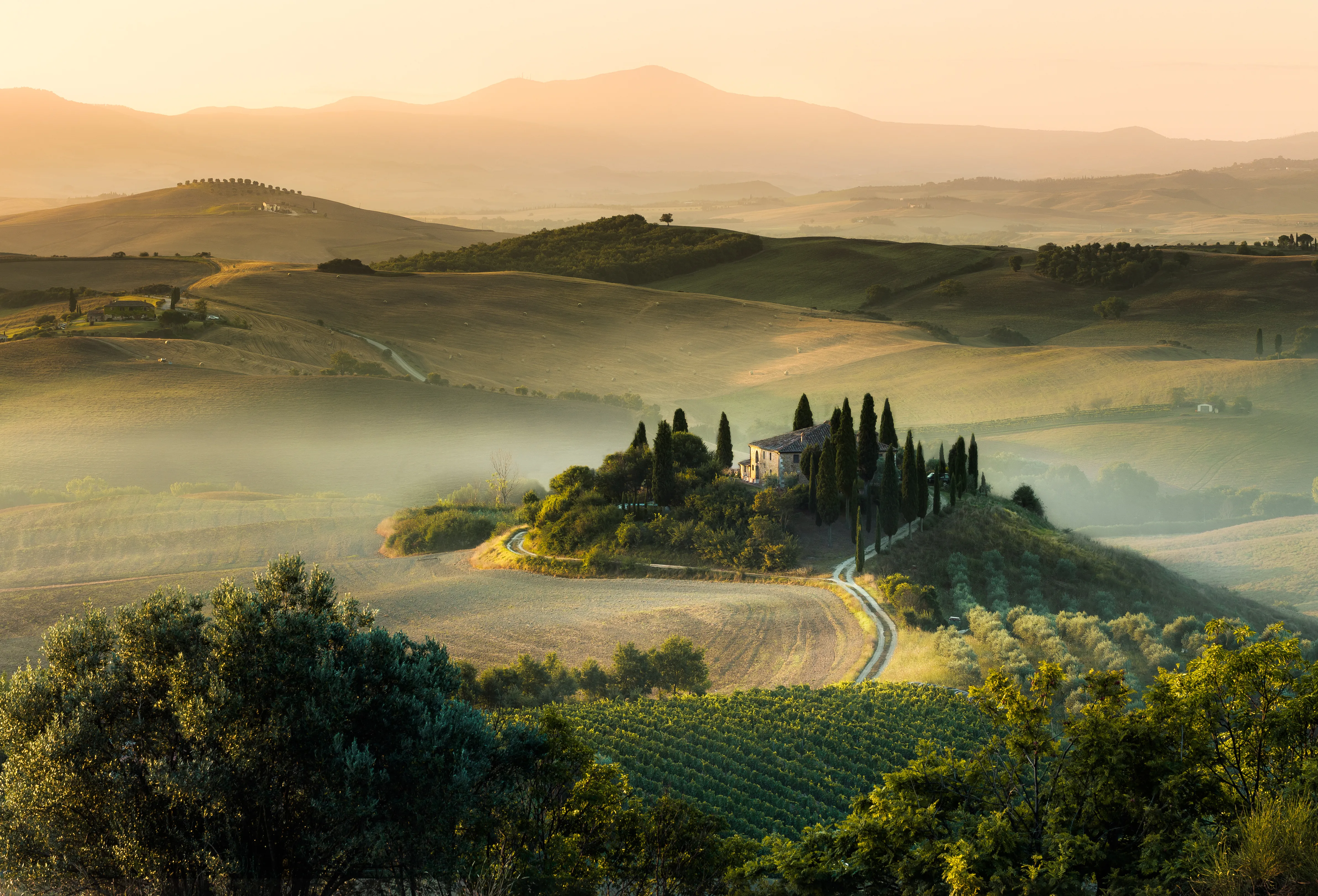 Misty Tuscan hills at dawn near Lago dell'Accesa